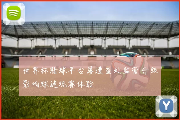 世界杯赌球平台屡遭查处监管升级影响球迷观赛体验