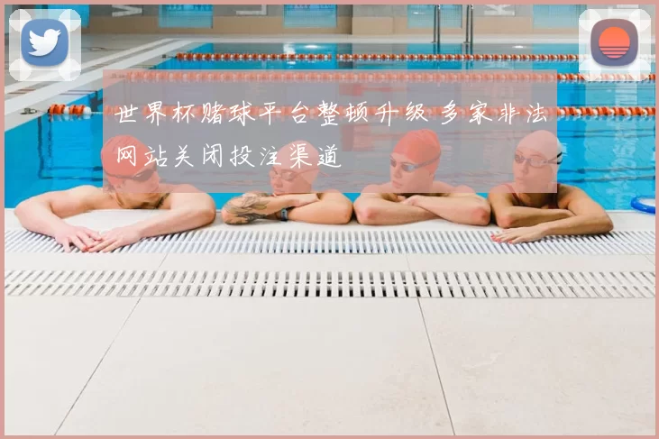 世界杯赌球平台整顿升级 多家非法网站关闭投注渠道